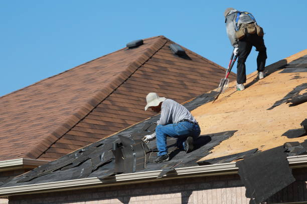 Fast & Reliable Emergency Roof Repairs in Sonoma State University, CA